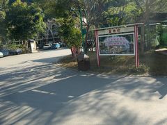 -西双版纳原始森林公园