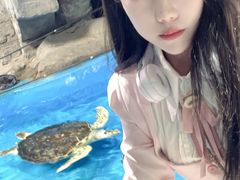 -泉城欧乐堡海洋极地世界