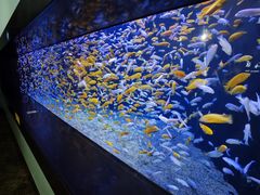 -成都浩海立方海洋公园