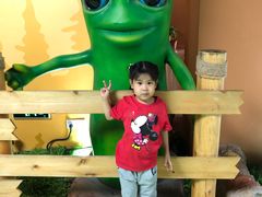 -苏州乐园森林水世界