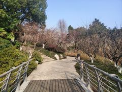 -青枫公园
