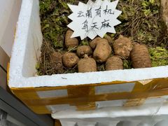 -中国农业博物馆