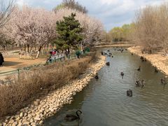 -长白岛森林公园