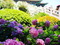 -阅江楼风景区