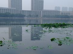 -尚贤河湿地