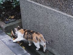 -巴金故居
