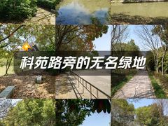 -上海中医药大学附属曙光医院(东部)