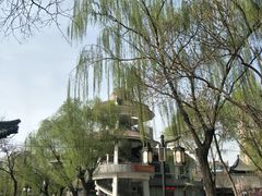 -文瀛公园