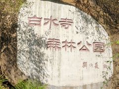-白水寺森林公园