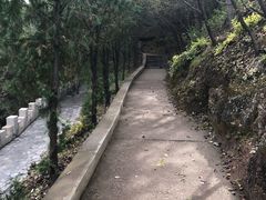-磬锤峰森林公园