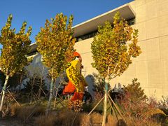 -回龙观体育文化公园