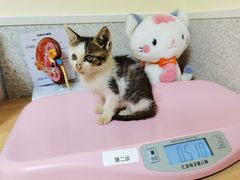 -谐和贝康宠物医院24小时·宠保定点(急重症转诊中心)