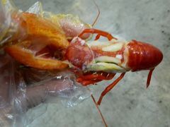 -清真·金鑫隆牛羊肉(环山路店)