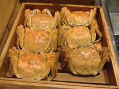 -丽都皇冠假日酒店·Matrix亦餐厅(望京店)