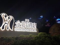 -帝企鹅自助餐厅•儿童岛•真企鹅(长隆企鹅酒店)