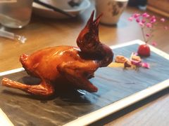 -大鸽饭(岗顶店)