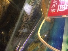 -七裕庄(凯旋南路店)