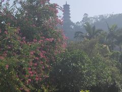 -南沙蒲洲花园