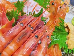 -左舞日本料理