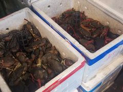 -瑞丽活螃蟹(芒市店)
