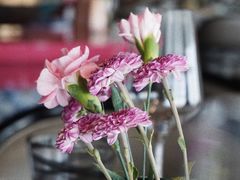 餐具摆设-悦江(梅奔中心店)