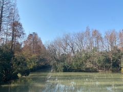 -上海滨江森林公园