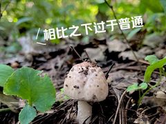 -棋盘山风景区