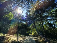 -元大都城垣遗址公园