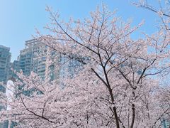 -西北湖绿化广场