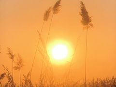 -野鸭湖国家湿地公园