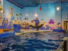 -太平洋海底世界