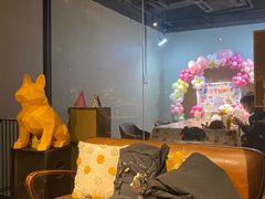 -百好乐宠物友好餐厅(朝外大街店)