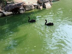 -石家庄市动物园