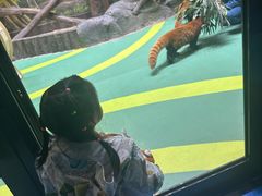 -海合安成都极地海洋公园
