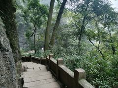 -青城山