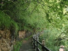 -塔云山