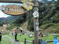 -龙岩森林水乡景区