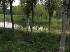 -东郊湿地公园