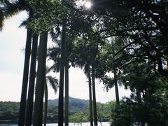 -番禺大夫山森林公园