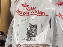 -瑞派康怡24h宠物医院·犬猫医疗中心·微创绝育(瑞景分院)