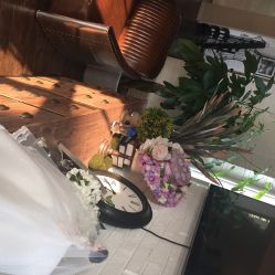 WHITENESS&nbsp;COUTURE&nbsp;STUDIO纯色时光婚纱艺术馆-纯色时光婚纱艺术馆WHITE