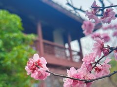 -堤角公园
