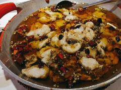 江鱼做水煮鱼-渝信川菜(工体店)