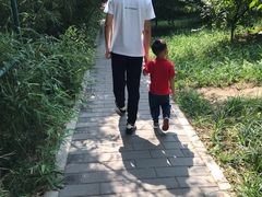 -丰台花园