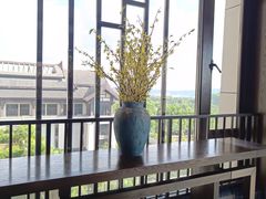 -清远熹乐谷温泉度假酒店