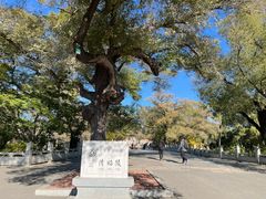 -北陵公园