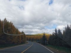 -塞罕坝国家级自然保护区