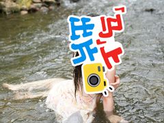 -羊山湖公园