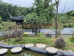 -雨花胜境