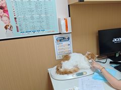 -瑞派康怡24h宠物医院·犬猫医疗中心·微创绝育(瑞景分院)